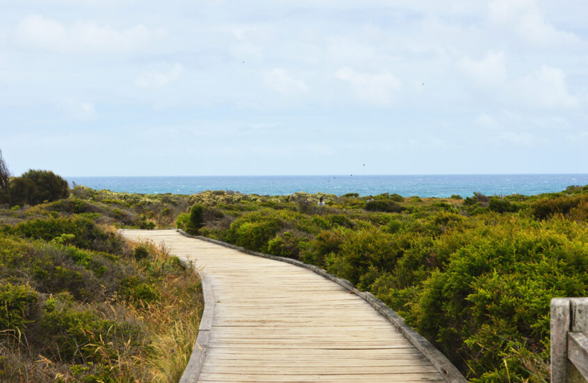 The Great Ocean Road Photo Diary